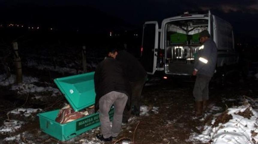 Demiryolu Kenarında &Ouml;l&uuml; Bulundu