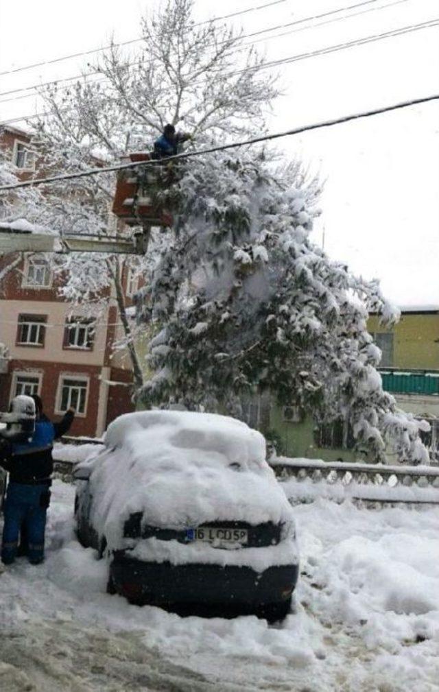 Bursa’Da Kardan Kapanan 149 Mahalle Yolu Açıldı, Deniz Ulaşımı Aksıyor