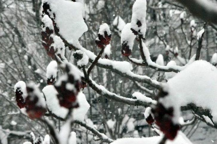 (özel Haber) Kocaeli’de Kar Yağışı Kartpostallık Fotoğraflar Oluşturdu G3