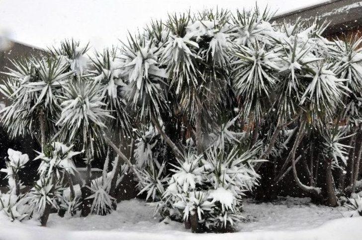 (özel Haber) Kocaeli’de Kar Yağışı Kartpostallık Fotoğraflar Oluşturdu G4
