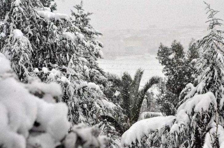 (özel Haber) Kocaeli’de Kar Yağışı Kartpostallık Fotoğraflar Oluşturdu G5