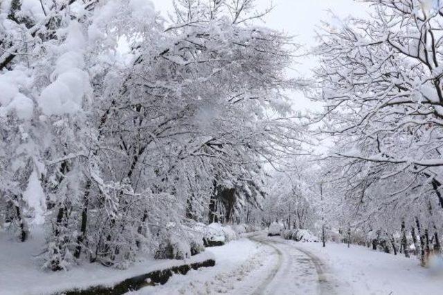 Samsun'da 60 Mahalle Yolu Kar Nedeniyle Kapandı