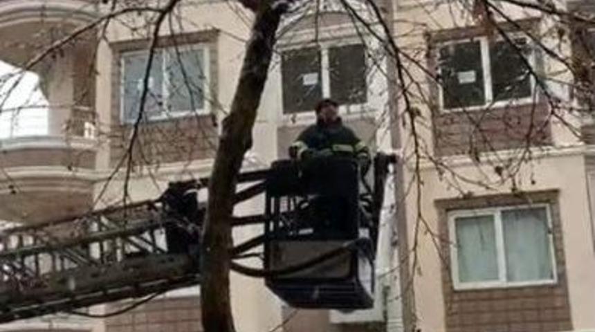 Ağa&ccedil;ta Mahsur Kalan Kedi Kurtarıldı