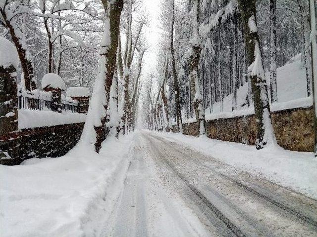 Beykoz Riva Yolunda Araçlar Mahsur Kaldı