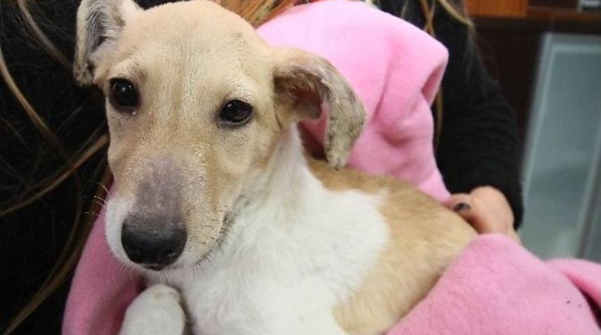 Hayat Ona &ldquo;şans&rdquo; Getirdi