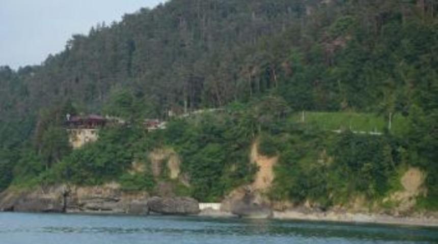 Milli Parklar: Sürmene'deki Yangında Tabiat Parkı'nda Tahribat Olmadı