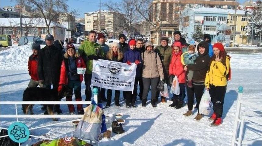 S&uuml;leymanpaşa&rsquo;da Sokak Hayvanlarına Ma Dağıtıldı