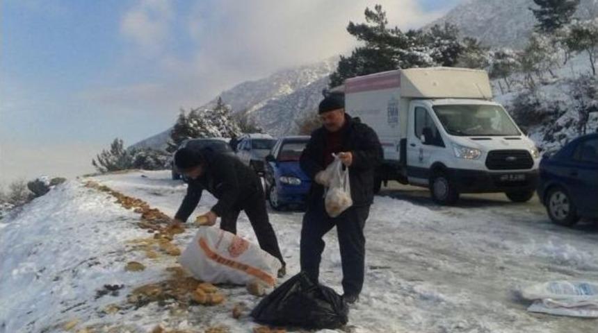 Şehzadeler Sokak Hayvanlarını Unutmadı
