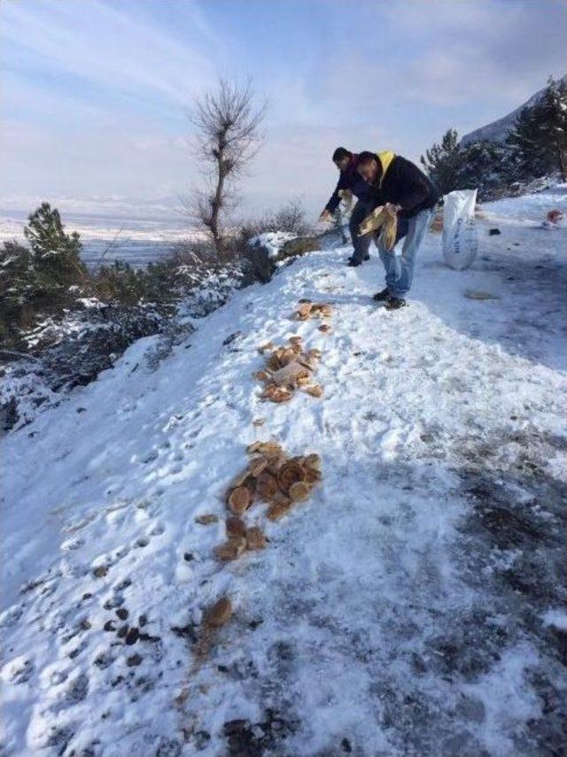 Şehzadeler Sokak Hayvanlarını Unutmadı