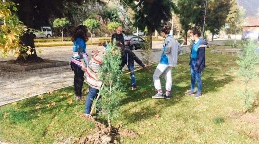 Öğrenciler Çam Ağaçlarına Kendi İsimlerini Verdi
