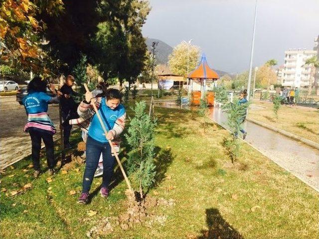 Öğrenciler Çam Ağaçlarına Kendi İsimlerini Verdi