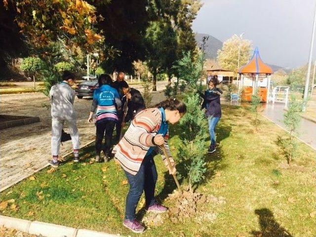 Öğrenciler Çam Ağaçlarına Kendi İsimlerini Verdi