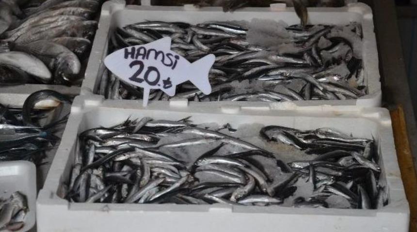 Ordu&rsquo;da Hamsi 20 Lira