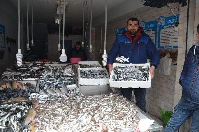 Ordu’da Hamsi 20 Lira