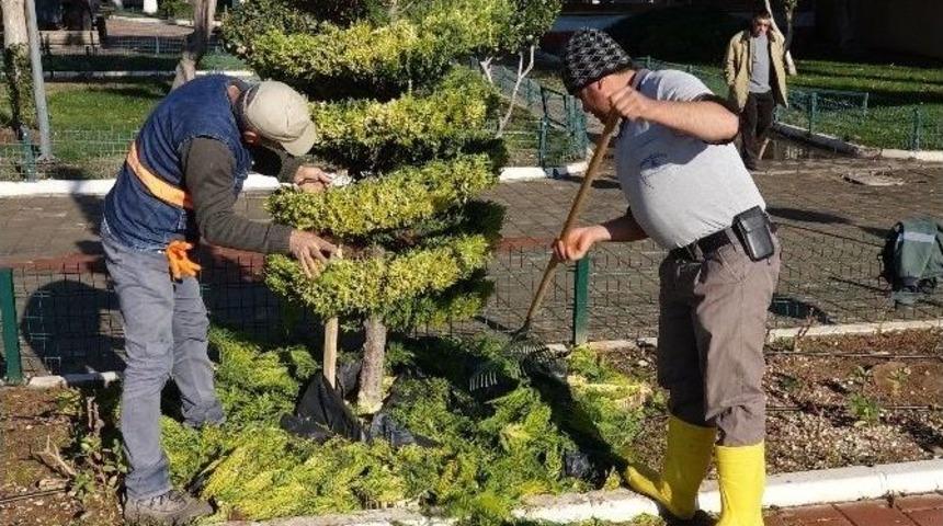 Erdemli&rsquo;de Park Ve Bah&ccedil;e Bakımları S&uuml;r&uuml;yor