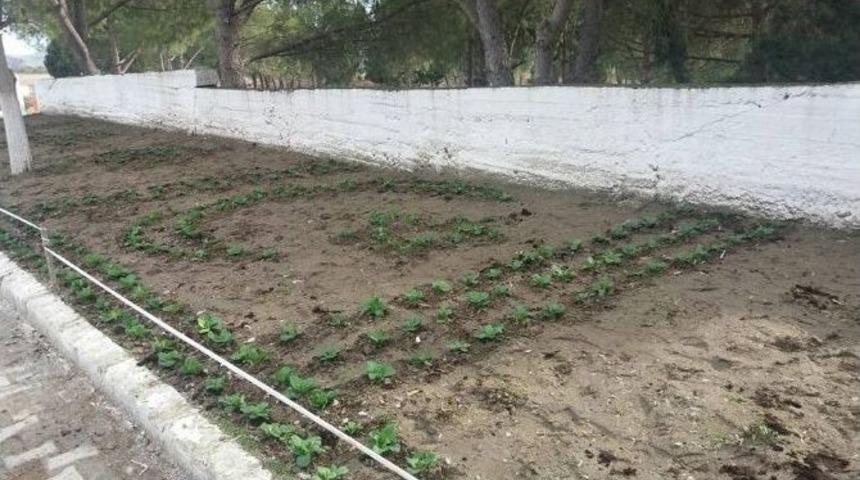 K&ouml;pr&uuml;başı Mezarlığı &Ccedil;i&ccedil;eklerle Donatıldı