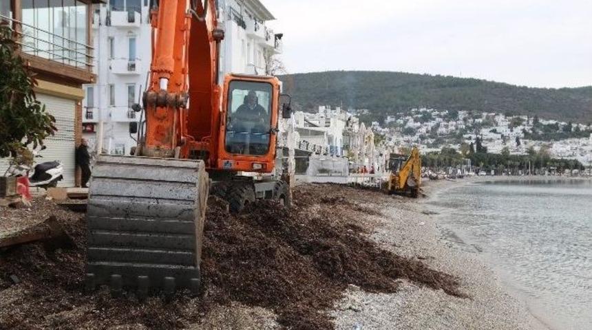 Bodrum&rsquo;da Sahiller Temizleniyor