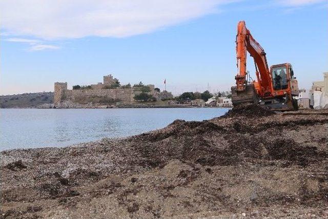 Bodrum’da Sahiller Temizleniyor