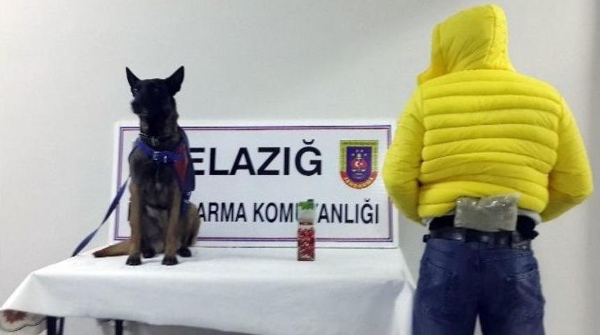 Sırtında Ve Meyve Suyu Kutusunda Esrar Ele Ge&ccedil;irildi