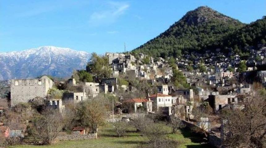 Yol Genişletme &Ccedil;alışmasında 506 Kızıl&ccedil;amın Kesilmesine Tepki