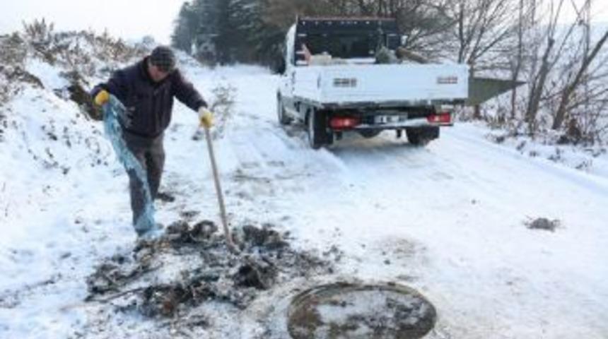 Bolu&rsquo;da Kollekt&ouml;r Hatları &Ccedil;&ouml;pl&uuml;ğe D&ouml;nd&uuml;
