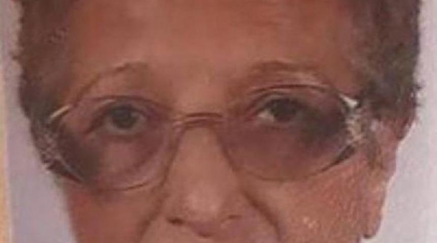 &Ouml;len Sahibinin Yanında G&uuml;nlerce B&ouml;yle Bekledi