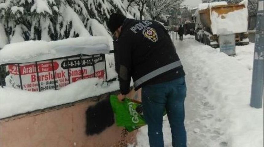 Zırhlı Ara&ccedil;larla Devriye Atan Polis Sokak Hayvanlarını Unutmadı