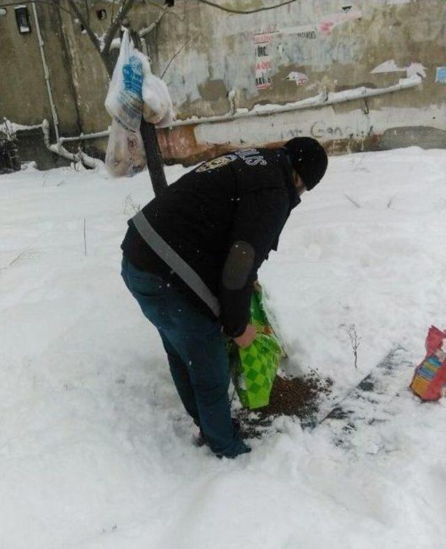 Zırhlı Ara&ccedil;larla Devriye Atan Polis Sokak Hayvanlarını Unutmadı 1