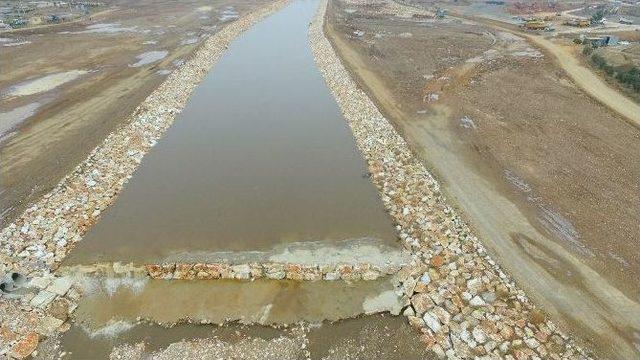 Fetrek &Ccedil;ayı, K&ouml;yl&uuml;lerin Korkulu R&uuml;yası Olmaktan &Ccedil;ıktı 1