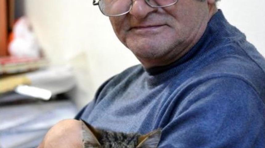 'bıdı' Adlı Kedi, Fak&uuml;lte Koridorlarına Geri D&ouml;nd&uuml;