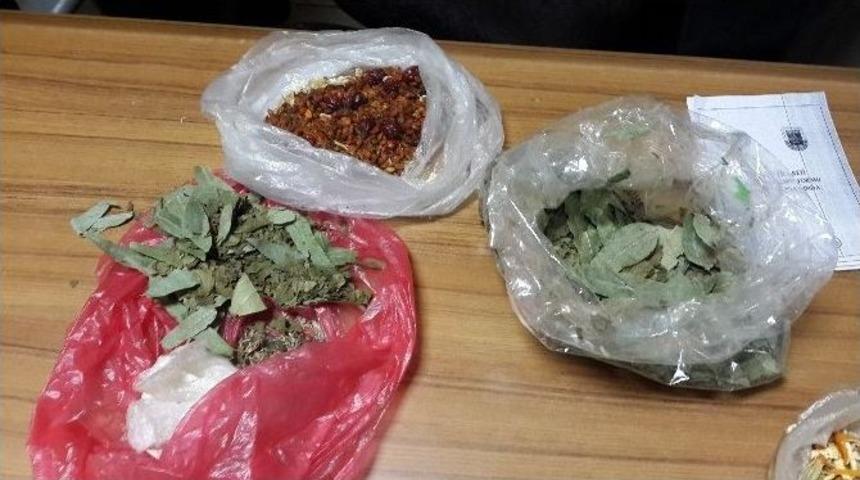 Bioka&ccedil;ak&ccedil;ılık Yapan Bir Rus Yakalandı