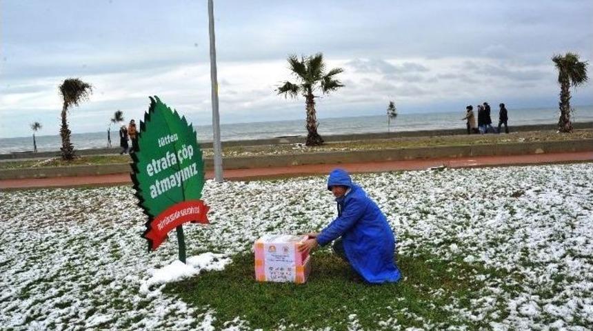 B&uuml;y&uuml;kşehirden Sokak Hayvanlarına Kış Şefkati