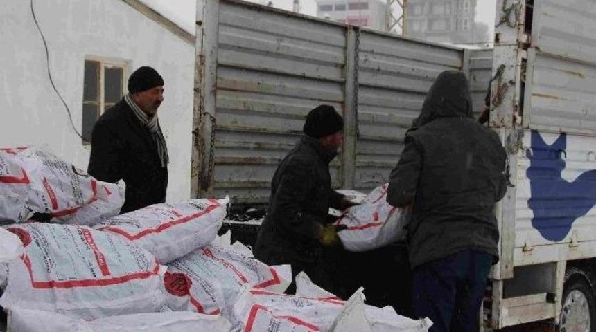 Varto&rsquo;da K&ouml;m&uuml;r Dağıtımı