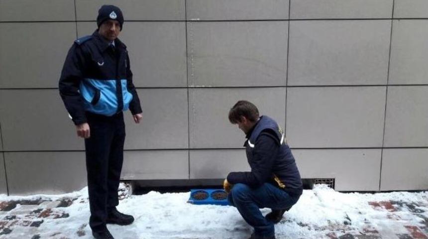 Soma Belediyesi Sokak Hayvanlarını Unutmadı