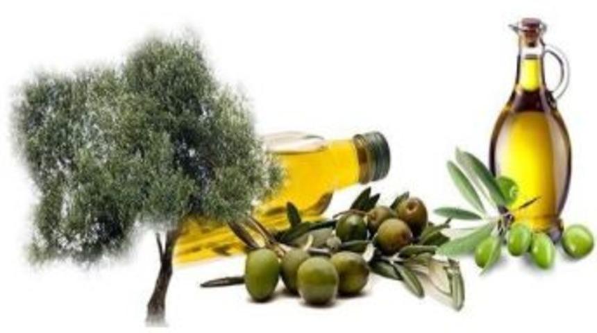 Zeytin Ve Zeytinyağıyla İlgili Eserler Yarışacak