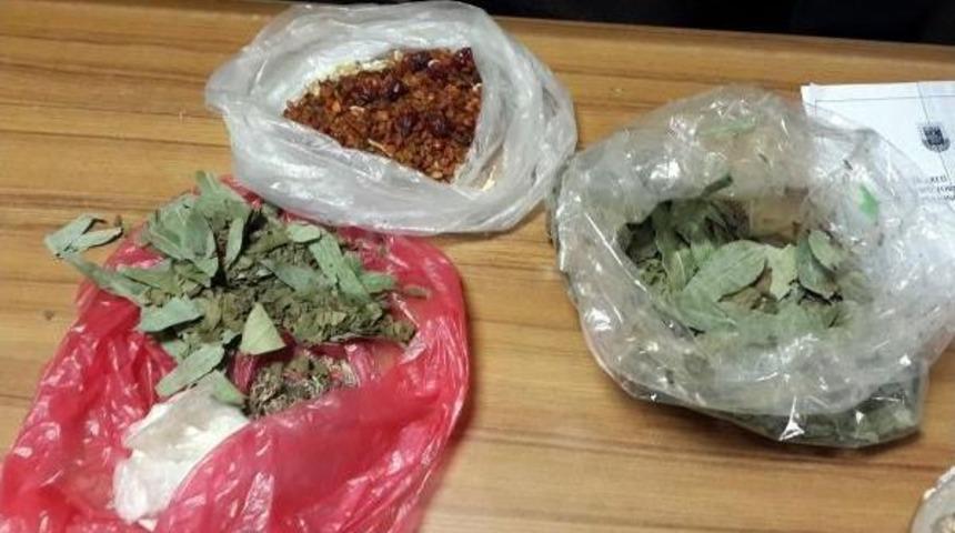 Rus Turistin &Ccedil;antasında Bulunan Bitki T&uuml;rleri Incelemeye Alındı