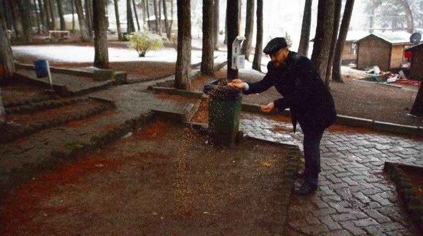 Niksar&rsquo;da A&ccedil; Kalan Hayvanlar İ&ccedil;in Doğaya Yiyecek Bırakıldı