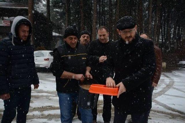 Niksar’da Aç Kalan Hayvanlar İçin Doğaya Yiyecek Bırakıldı