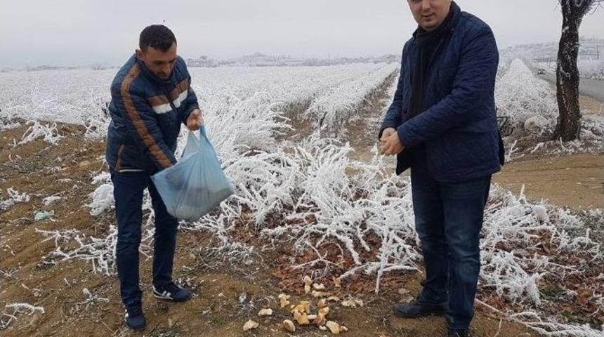Ak Partililer Yaban Hayatını Unutmadı