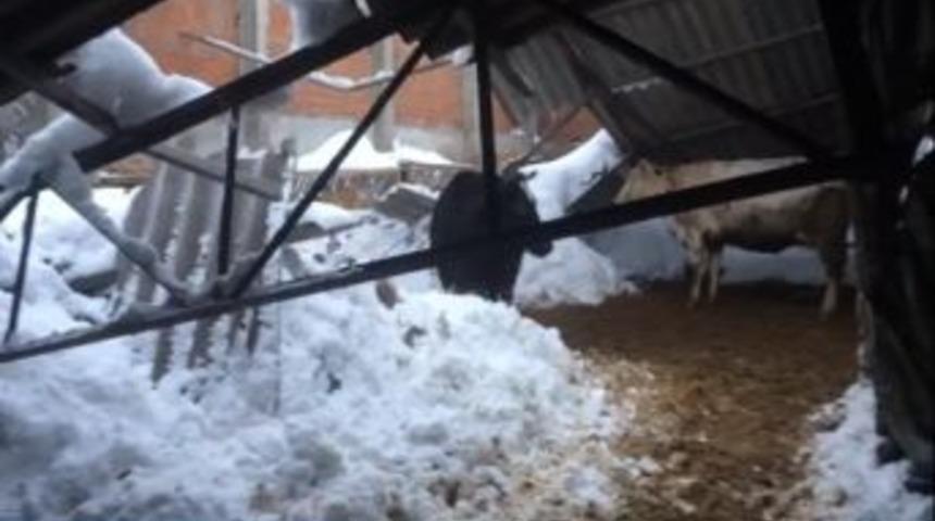 Mahsur Kalan &Ccedil;obana 2 G&uuml;nd&uuml;r Ulaşılamıyor