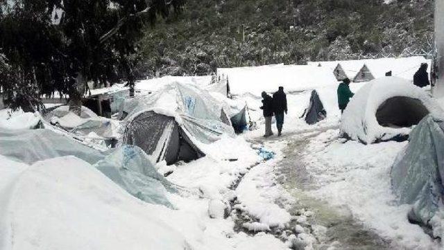 Midilli'deki Kampta Sığınmacıların Soğukla Mücadelesi