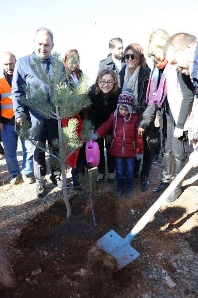 1 Milyon Metre Kare Alanda Ağaçlar Yeşerecek