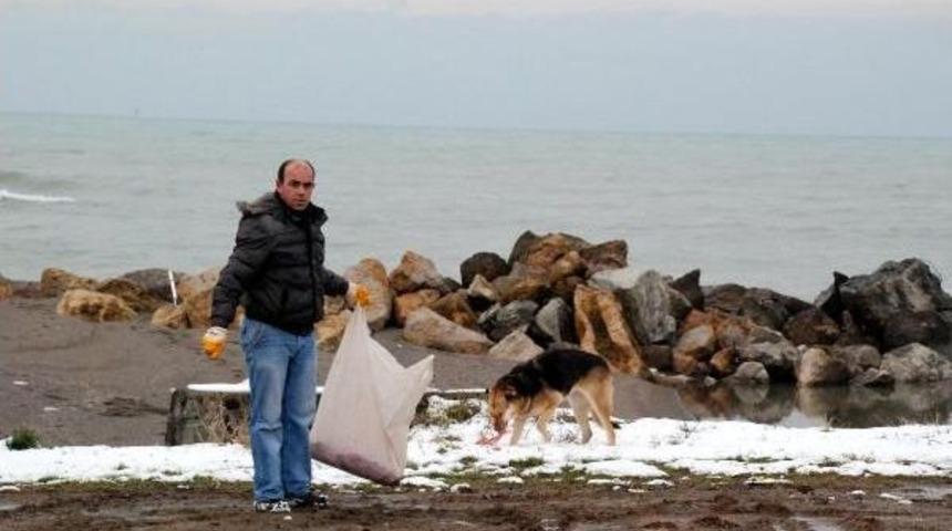 Ak&ccedil;akoca'da Sokak Hayvanları I&ccedil;in Yem Bırakıldı