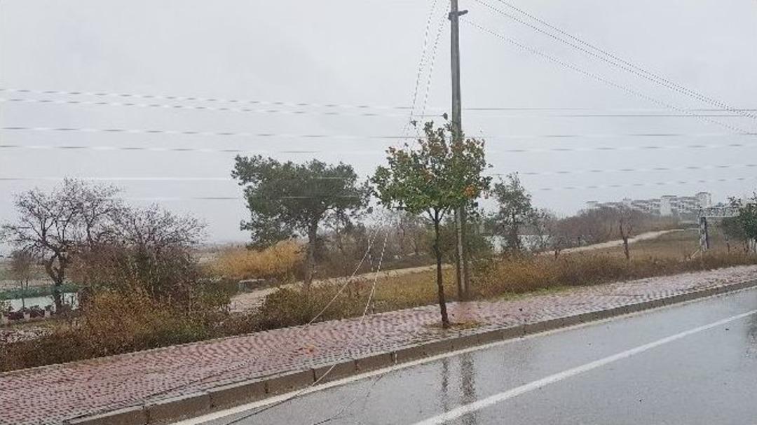 Şiddetli Fırtına Ağa&ccedil;ları S&ouml;kt&uuml;