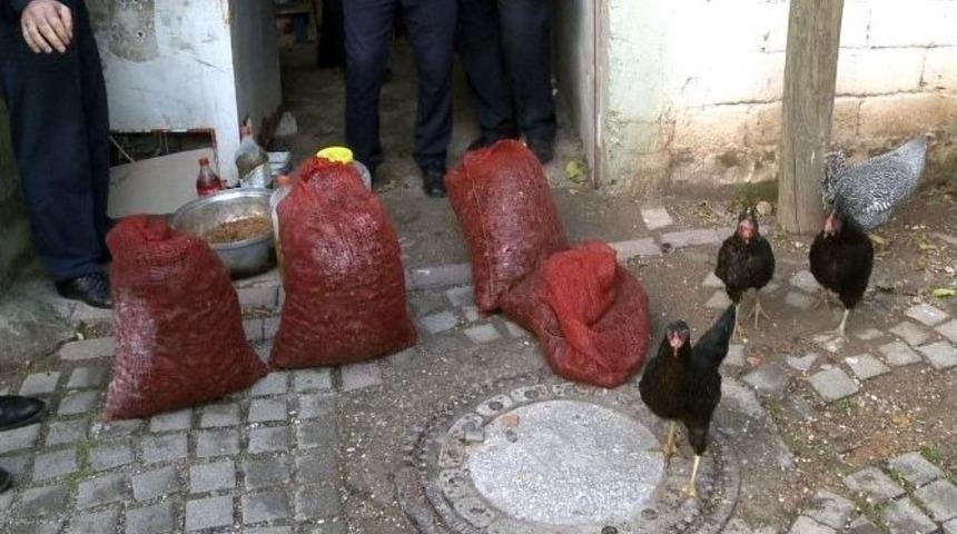 Midye &Ccedil;uvalları K&uuml;mesten &Ccedil;ıktı