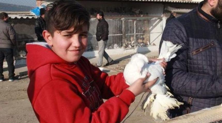 Torbalı'da Haczedilen 2 Bin 389 G&uuml;vercine Yine Alıcı &Ccedil;ıkmadı