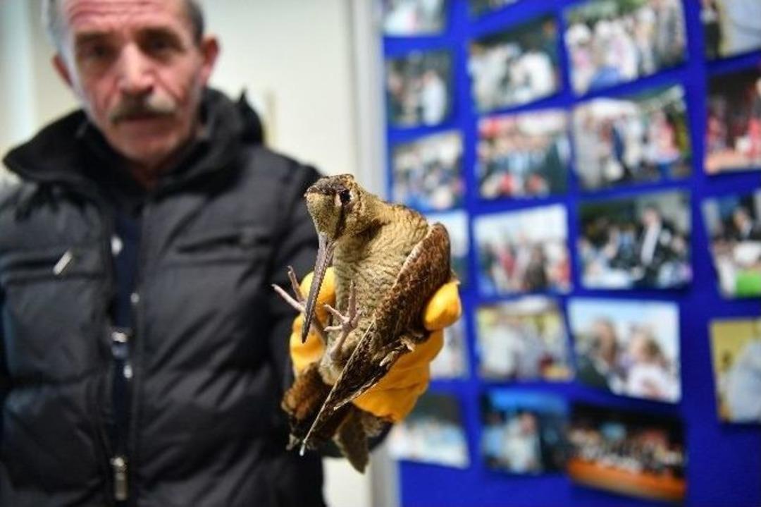 Bah&ccedil;elievler Belediyesinden Soğuktan Etkilenen Hayvanlara M&uuml;dahale