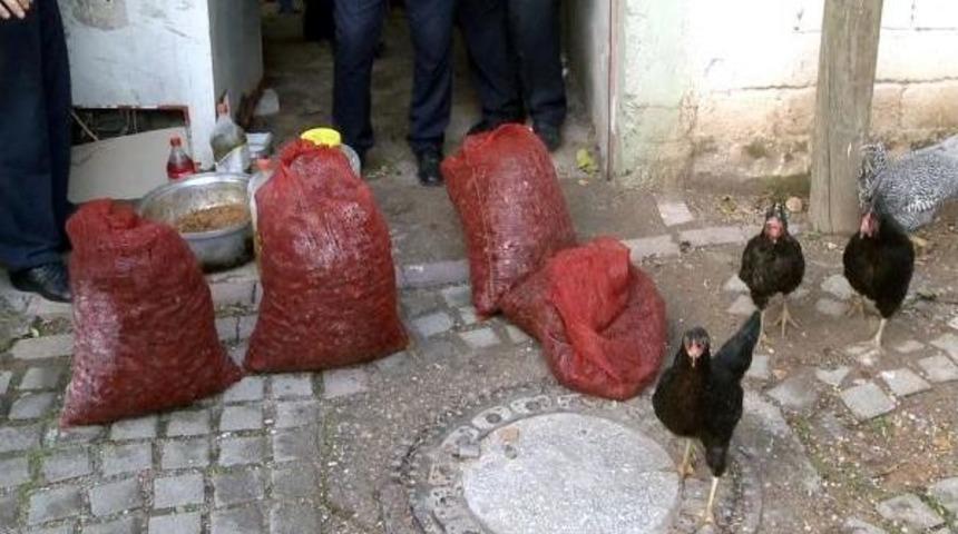 Midye Dolma &Ccedil;uvalları K&uuml;mesten &Ccedil;ıktı