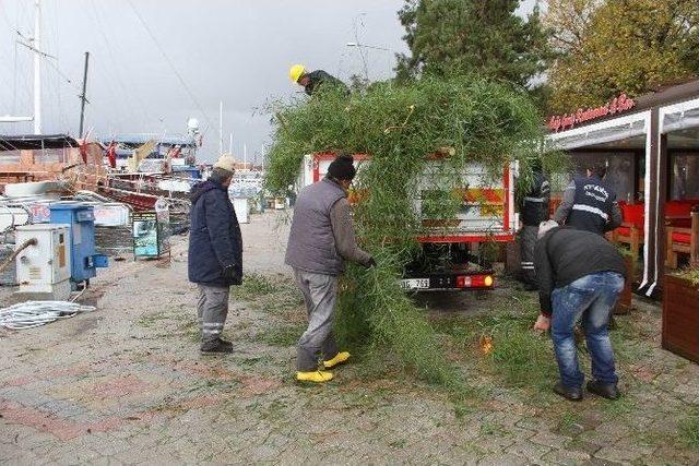 Fethiye&rsquo;deki Şiddetli Fırtına Ağa&ccedil;ları Devirdi 3