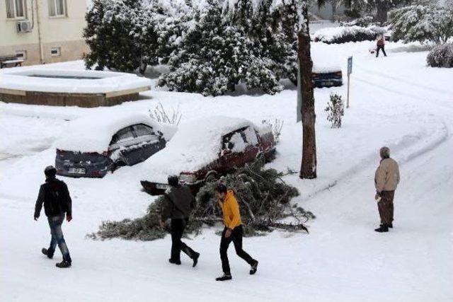 Bucak'ta Okullara Kar Tatili (4)